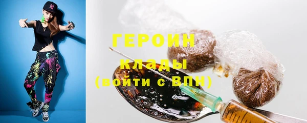 винт Горняк